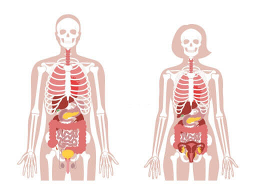 صورة ألم في عظام القفص الصدري عند الضغط عليها | الأسباب والأعراض